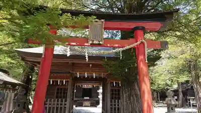 淺間神社（忍野八海）の鳥居