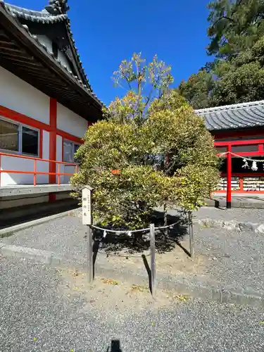 高塚熊野神社(静岡県)