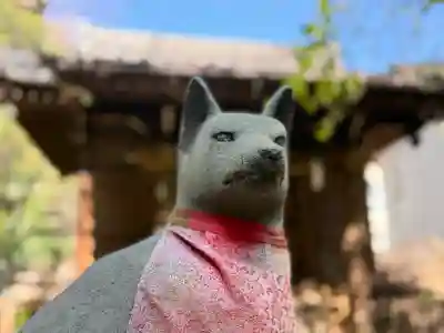 四合稲荷神社の{uncategorized: "未分類", other: "その他", undefined: "問題あり", building: "その他建物", grave: "お墓", sacred_gate: "鳥居", guardian: "狛犬", statue: "像", buddha: "仏像", history: "歴史", nature: "自然", garden: "庭園", animal: "動物", pagoda: "塔", temizu: "手水舎", mountain_gate: "山門・神門", sanctuary: "本殿・本堂", subordinate: "末社・摂社", art: "芸術", scenery: "景色", jizo: "地蔵", ema: "絵馬", goshuin: "御朱印", omikuji: "おみくじ", items: "授与品その他", amulet: "お守り", goshuincho: "御朱印帳", eats: "食事", festival: "お祭り", votive_dance: "神楽", shichigosan: "七五三参", wedding: "結婚式", experience: "体験その他", initially: "初詣", around: "周辺", anti_infection: "感染症対策"}