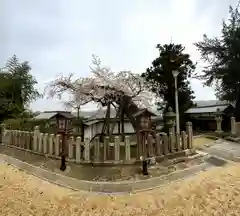 山王宮日吉神社(京都府)