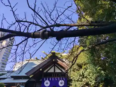 東京大神宮(東京都)