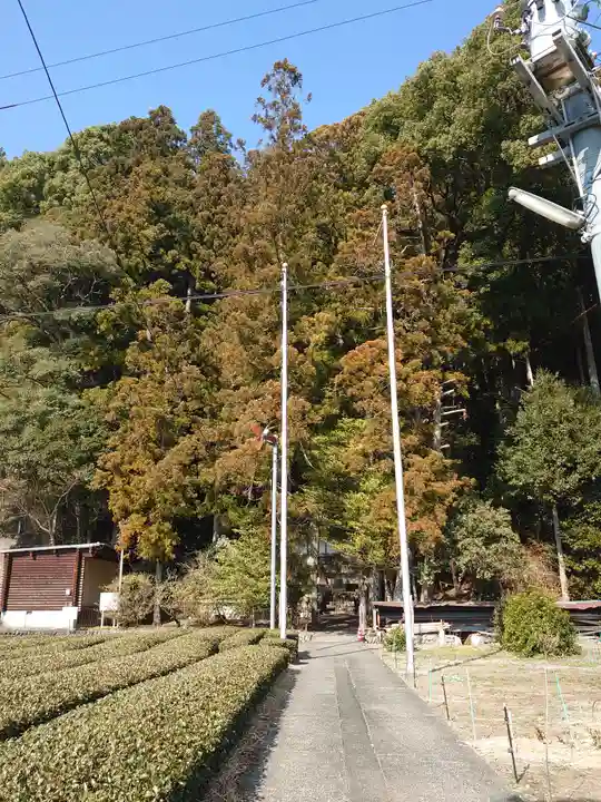 白光神社の周辺