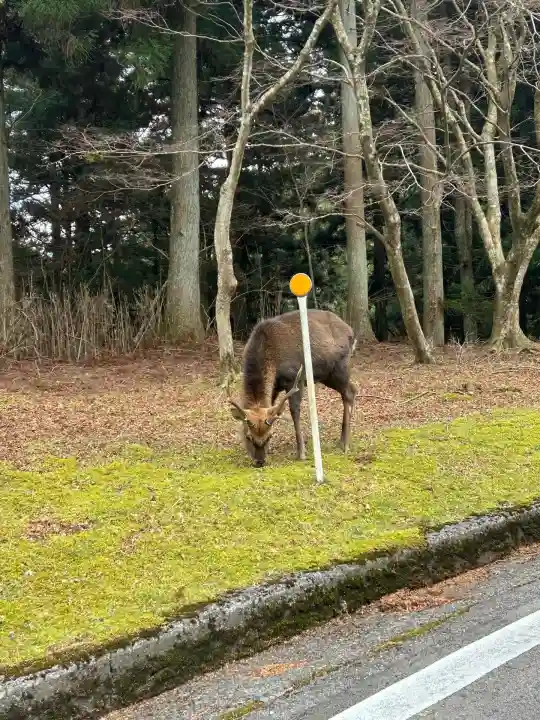 比叡山延暦寺(滋賀県)