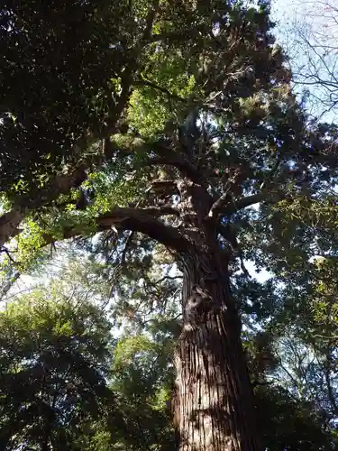 日吉神社(千葉県)