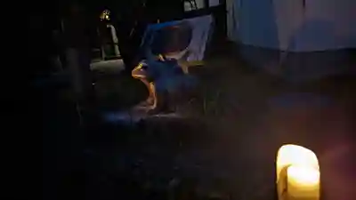 東林院(京都府)