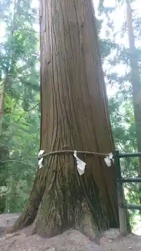 金持神社(鳥取県)