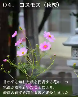 宝光寺(北海道)