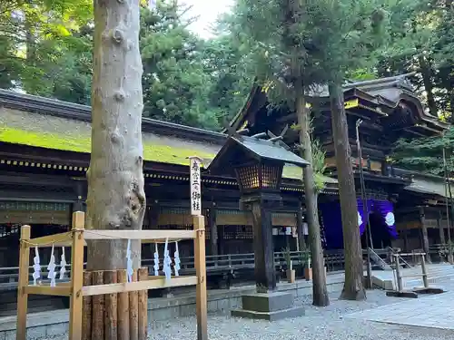 諏訪大社下社春宮(長野県)