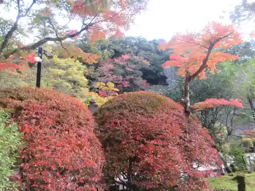 那谷寺(石川県)
