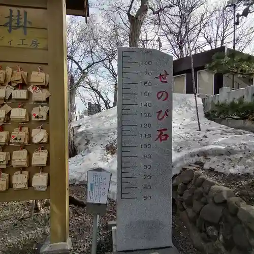 手稲神社の体験その他