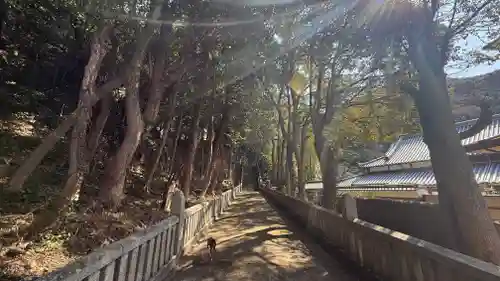 八幡神社(徳島県)