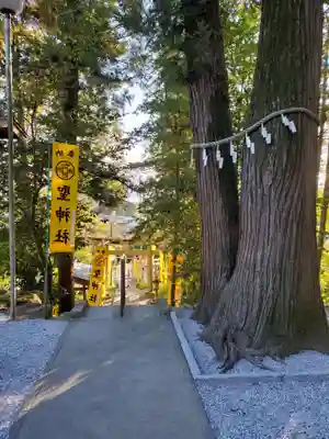 聖神社(埼玉県)
