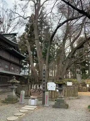 小室浅間神社のその他建物