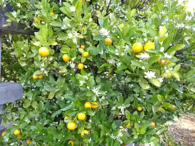 日吉神社(愛知県)