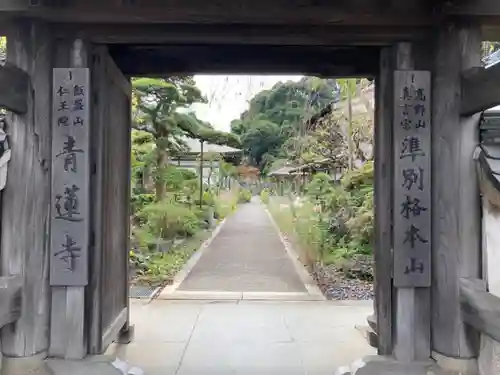 青蓮寺の山門