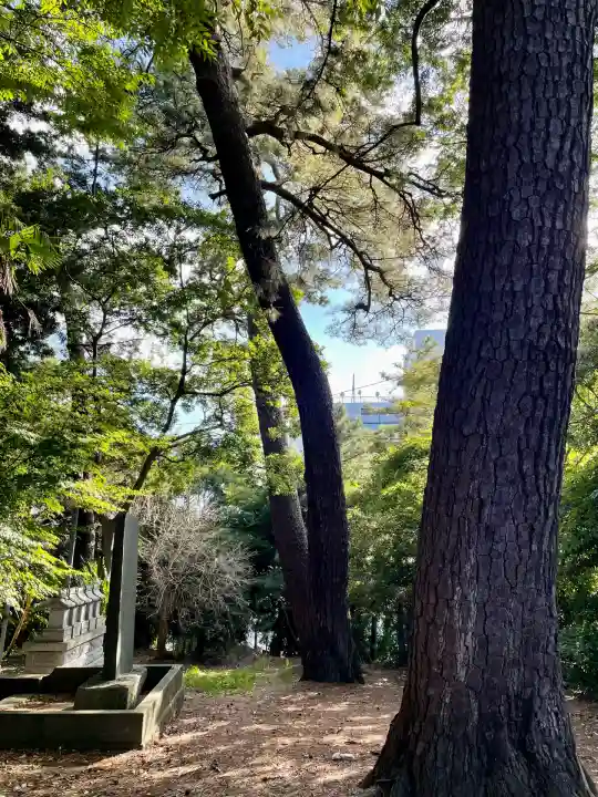 春日神社(千葉県)