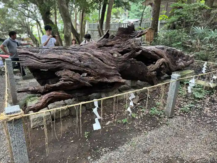 泉神社(茨城県)