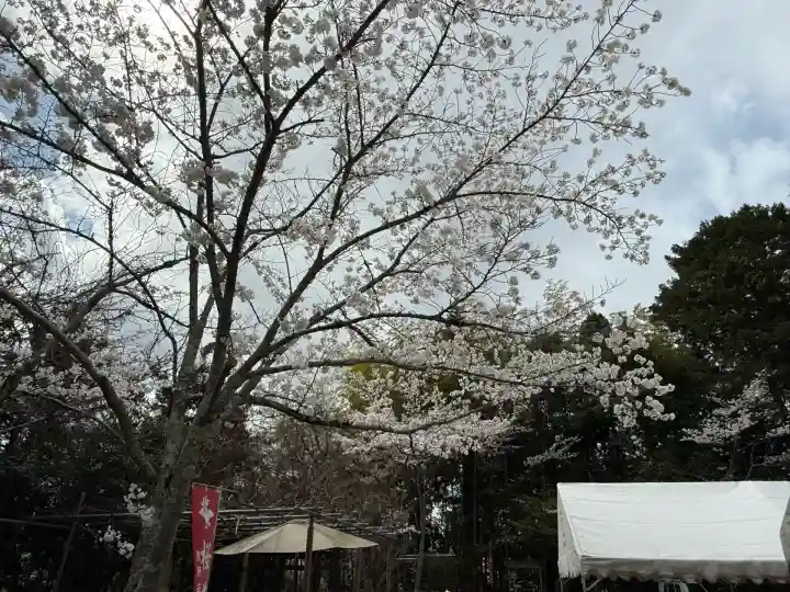 熊野若王子神社の自然
