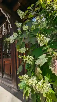 元祇園梛神社・隼神社(京都府)
