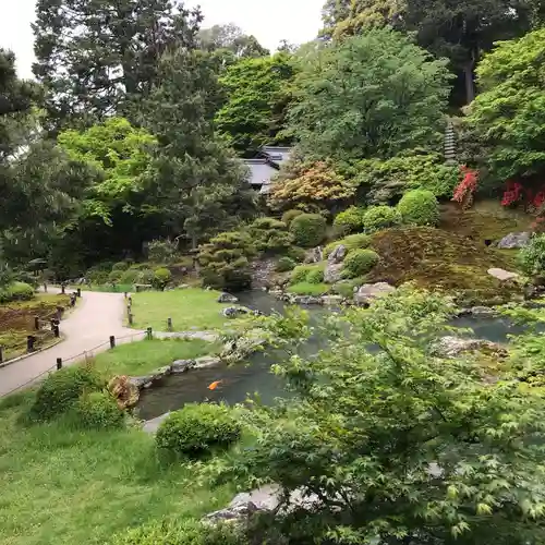 青蓮院門跡の庭園