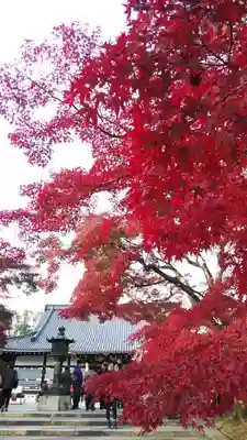 仁和寺のその他建物