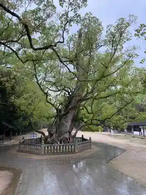 大山祇神社(愛媛県)