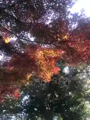 勝手神社の自然