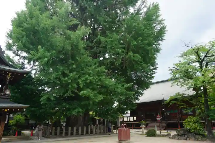 飛騨国分寺のその他建物