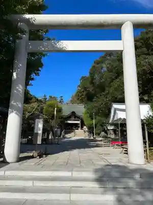 天津神明宮の鳥居