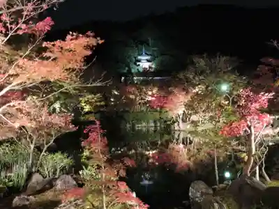 高台寺（高台寿聖禅寺・高臺寺）(京都府)
