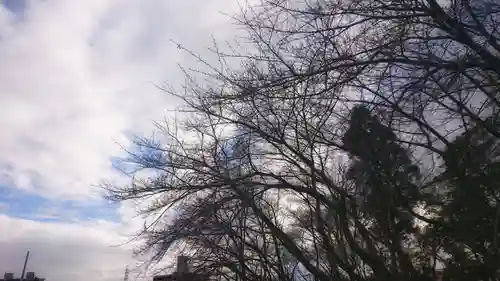 神明社（国府宮神明社）の景色