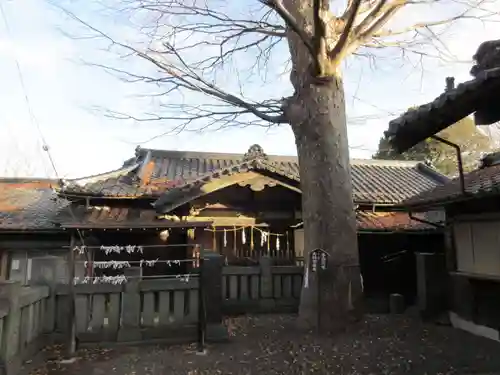 多賀神社の本殿・本堂