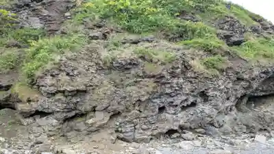 金比羅神社の自然