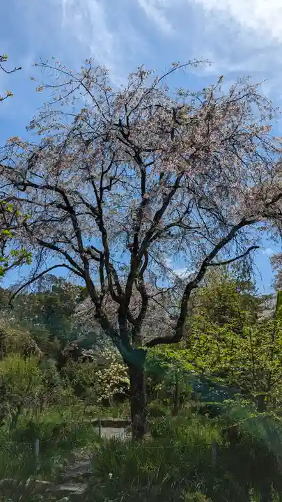 惠心院(京都府)