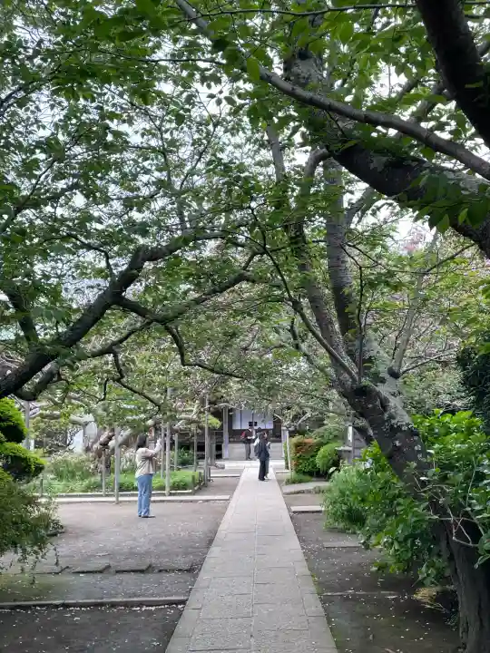 極楽寺(霊鷲山感應院極楽律寺)(神奈川県)