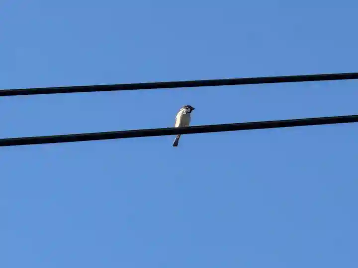 西方山極楽寺(岐阜県)