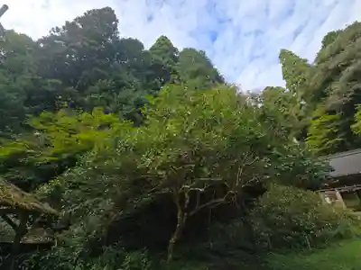 志明院（金光峯寺）(京都府)