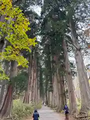 戸隠神社奥社(長野県)