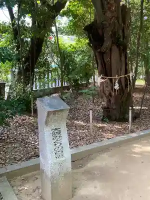 辛國神社(大阪府)