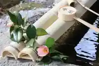 鹿島大神宮の手水舎