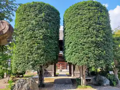 常楽寺(埼玉県)