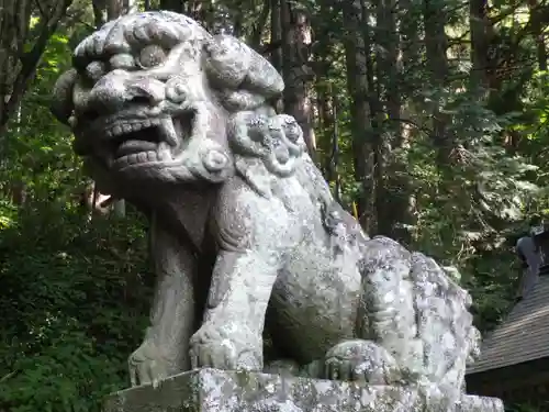 戸隠神社宝光社の狛犬