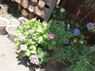 相模原氷川神社(神奈川県)