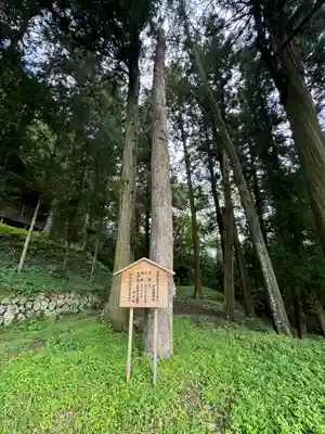 子檀嶺神社(長野県)