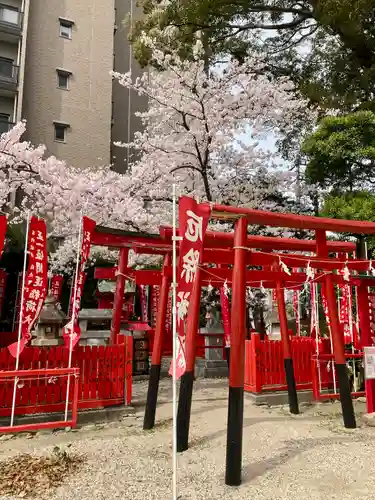 菅生神社の鳥居