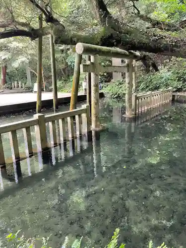 鹿島神宮(茨城県)
