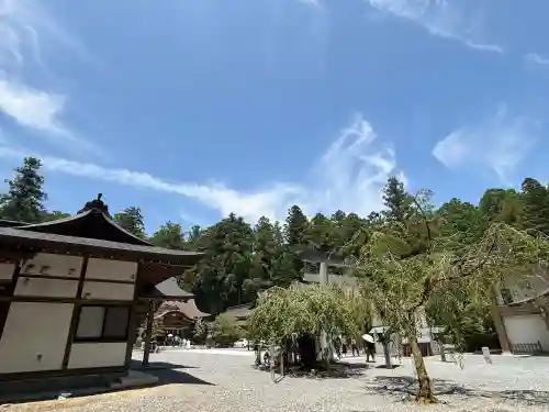 小國神社(静岡県)
