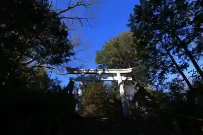 二本松神社の鳥居