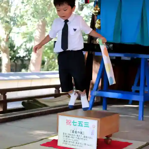 三津厳島神社の七五三参