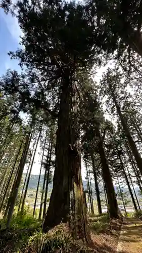 円光寺(山形県)